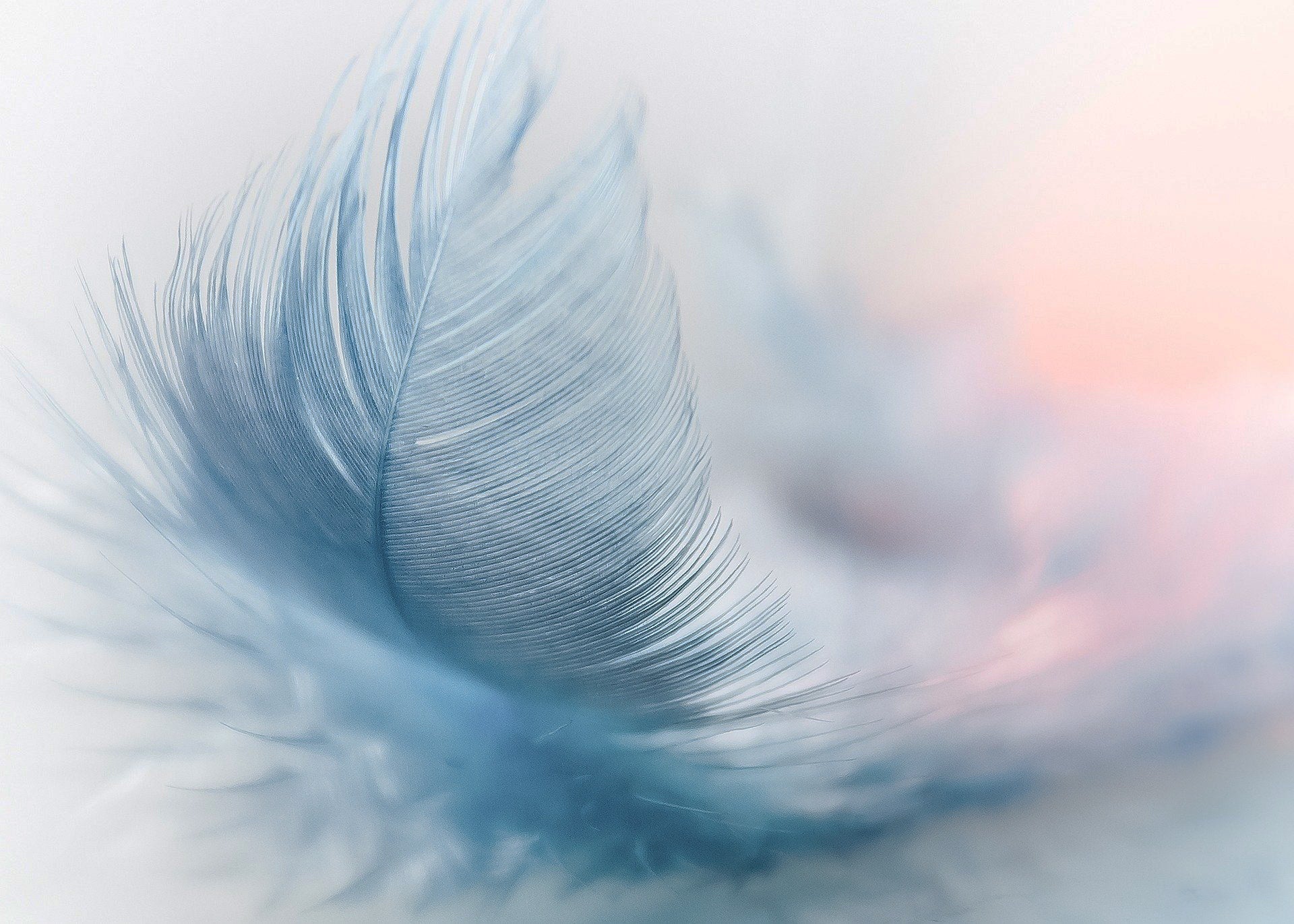 Blue+